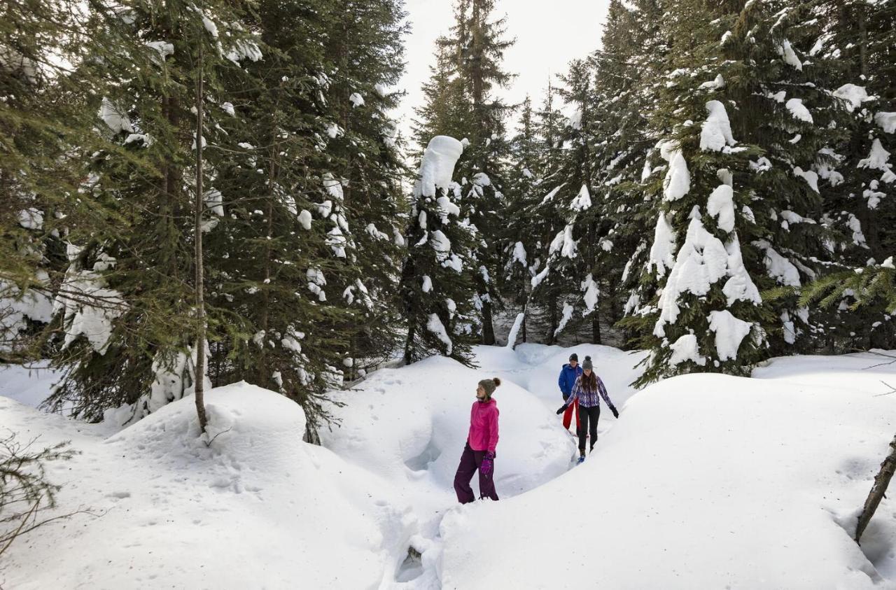 Soleil Chalet By Bear Country Sun Peaks Ngoại thất bức ảnh